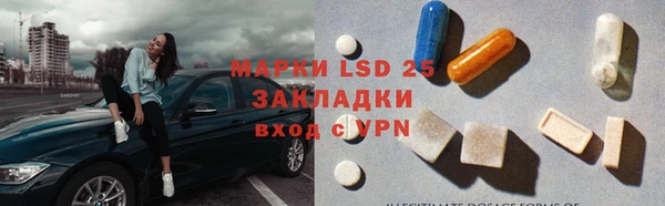 прущие грибы Алексин