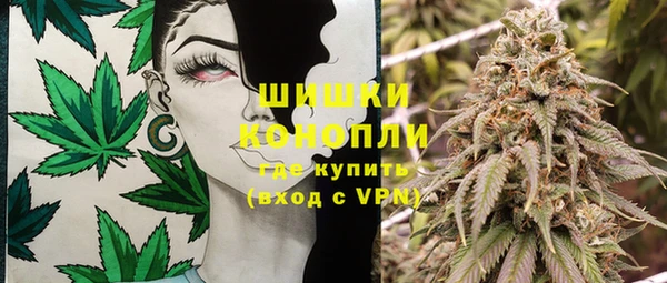 прущие грибы Алексин