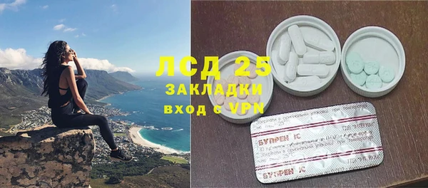 прущие грибы Алексин